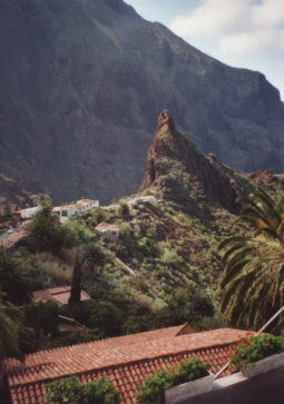 Teneriffa2001_23.jpg, 20639 bytes, 22.04.01