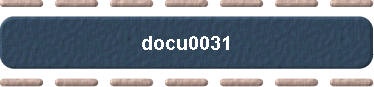  docu0031 