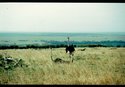 docu0042.JPG